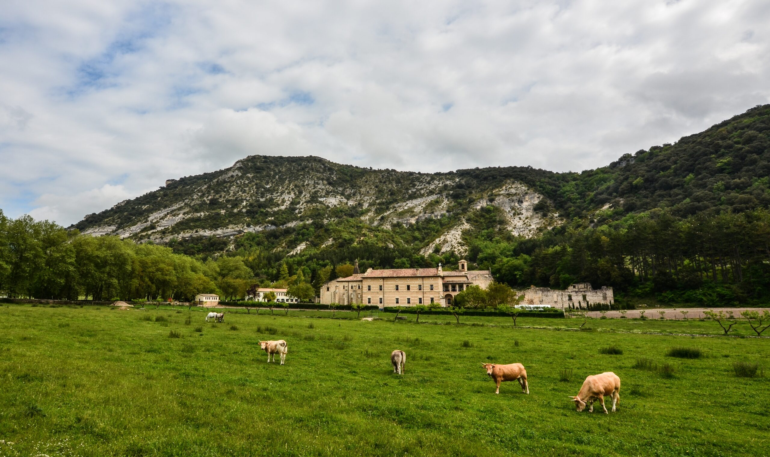 Corps de ferme