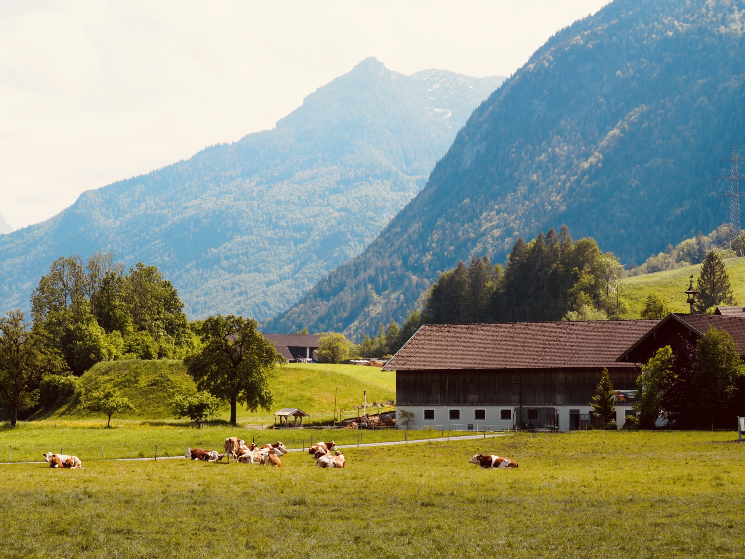 Corps de ferme
